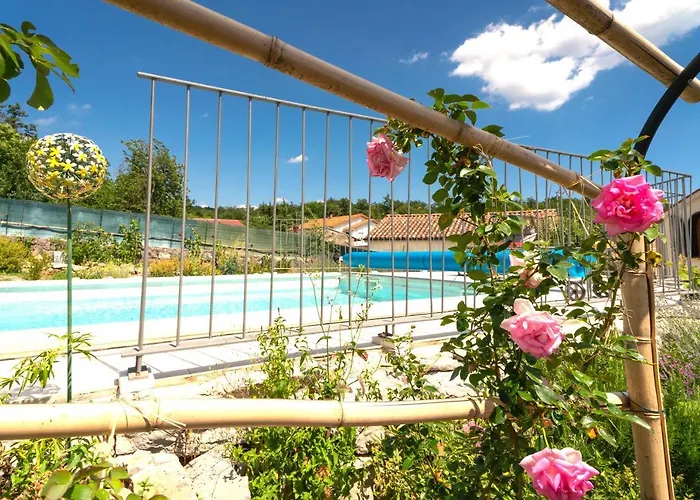 Salvia With Pool * Ružići