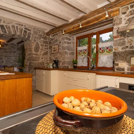 Salvia With Pool Villa Ruzici (Primorje-Gorski Kotar)