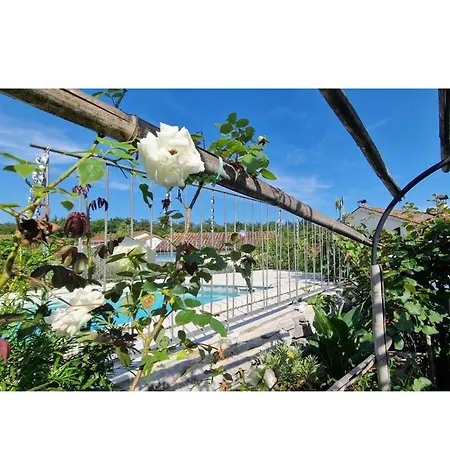Villa Luxurious In Ruii Croatia With Private Pool And Garden Ruzici (Primorje-Gorski Kotar)