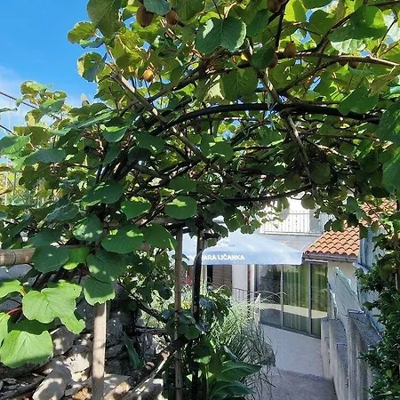 Luxurious In Ruii Croatia With Private Pool And Garden Villa Ruzici (Primorje-Gorski Kotar)